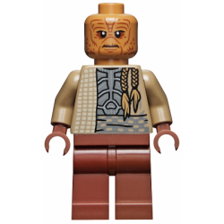 Weequay Guard| sw1197 | LEGO Figur | Star Wars | neu